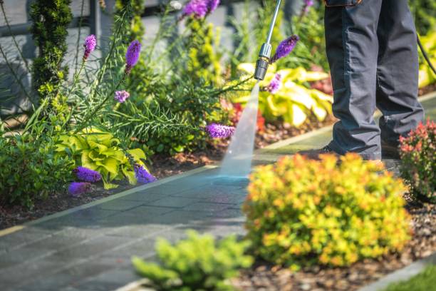 Best Pool Deck Cleaning in Columbus Grove, OH